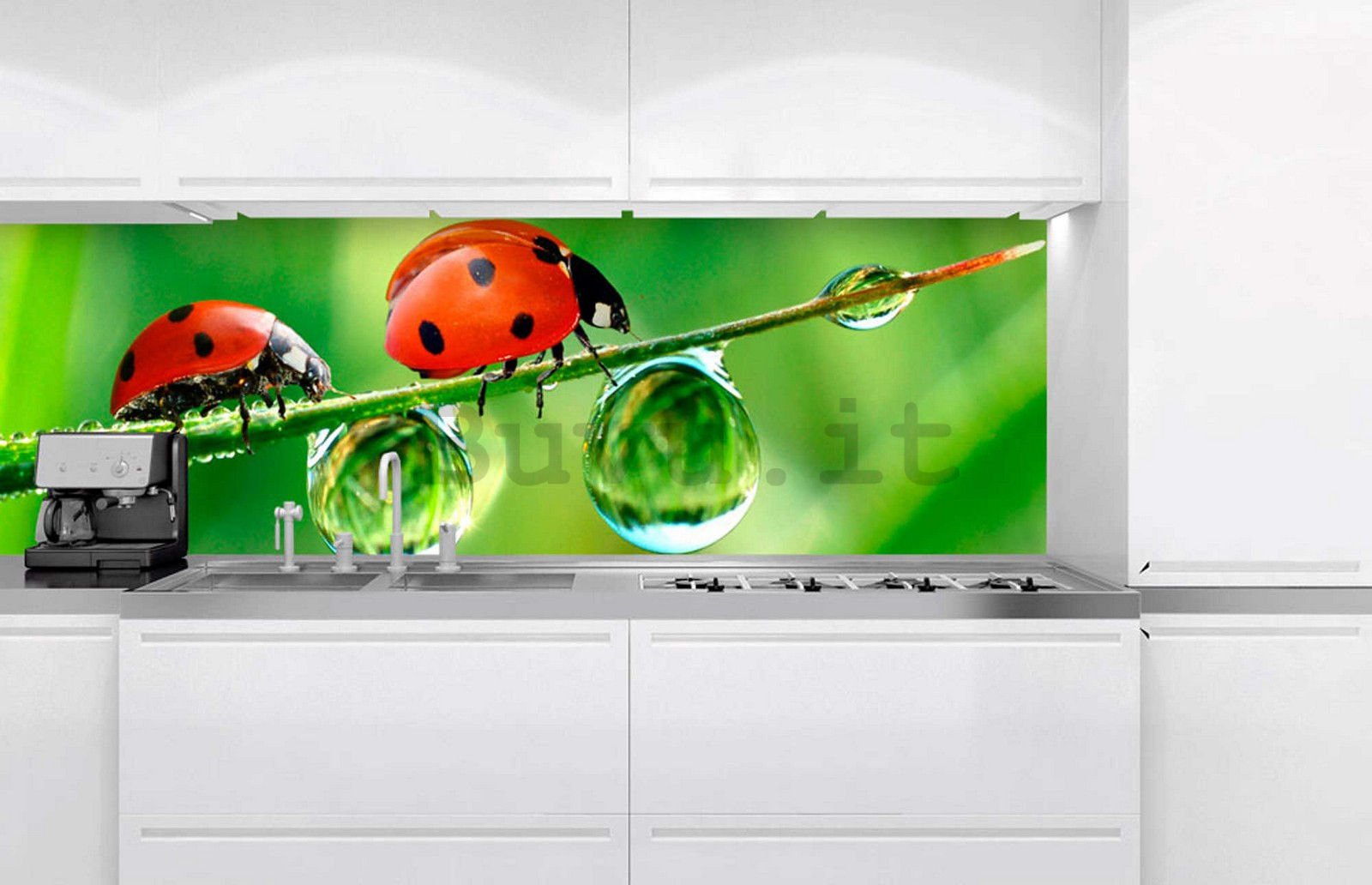 Fotomurale lavabile autoadesiva per cucina - Coccinelle, 180x60 cm