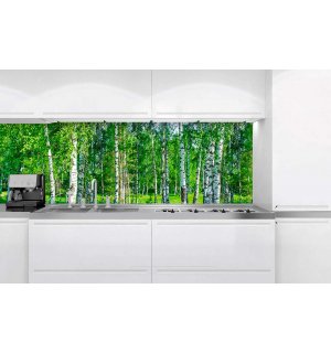 Fotomurale lavabile autoadesiva per cucina - Betulle, 180x60 cm