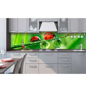Fotomurale lavabile autoadesiva per cucina - Coccinelle, 260x60 cm