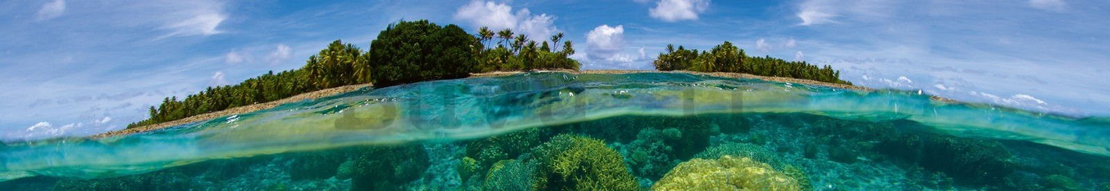 Fotomurale lavabile autoadesiva per cucina - Barriera corallina, 350x60 cm