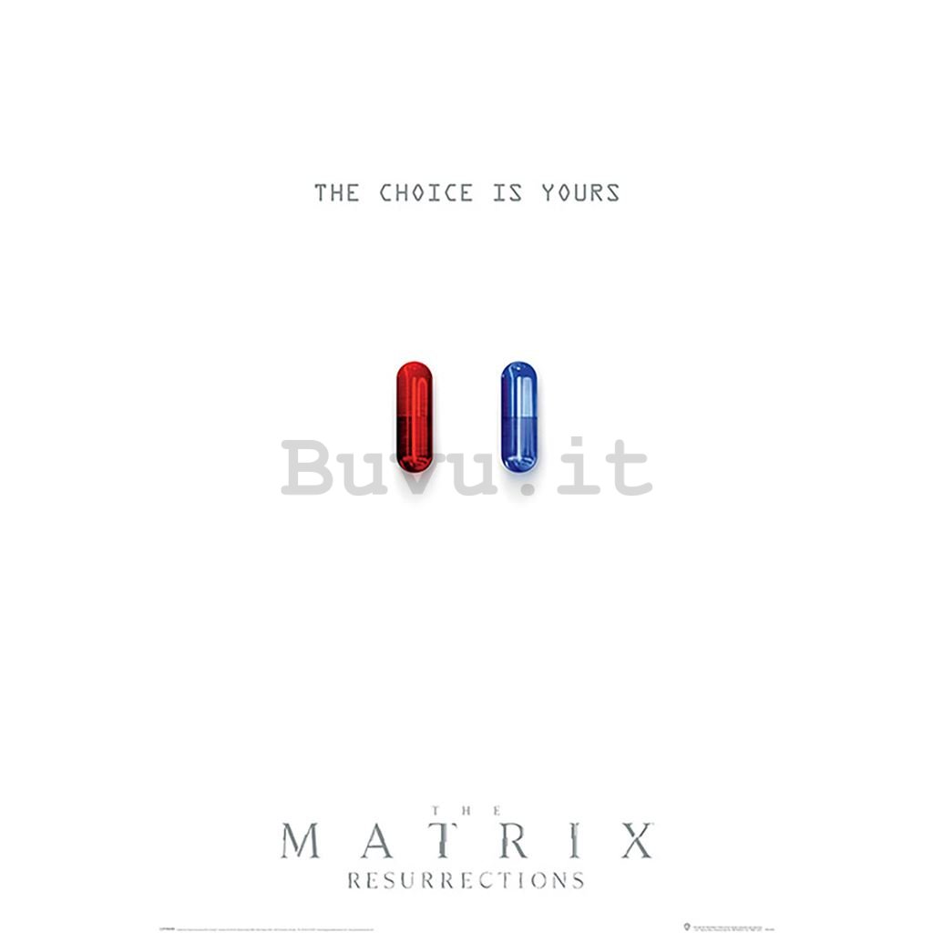 Poster - The Matrix Ressurection (The Choice is Yours)