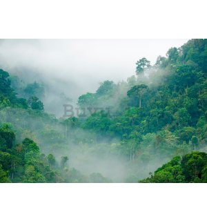 Fotomurale in TNT: Foresta pluviale - 254x184 cm