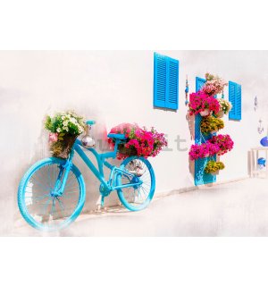 Fotomurale in TNT: Bicicletta e fiori greci - 254x184 cm