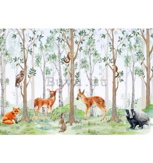 Fotomurale in TNT: Mondo animale della foresta - 254x184 cm