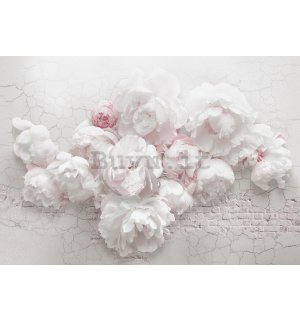 Fotomurale in TNT: Rose bianche sulla parete - 368x254 cm
