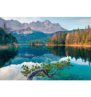 Fotomurale in TNT: Autunno a Eibsee - 368x254 cm