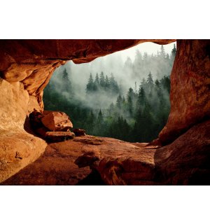 Fotomurale in TNT: Una grotta vicino alla foresta - 368x254 cm
