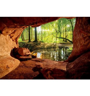 Fotomurale in TNT: Una grotta vicino a una foresta alluvionale - 368x254 cm