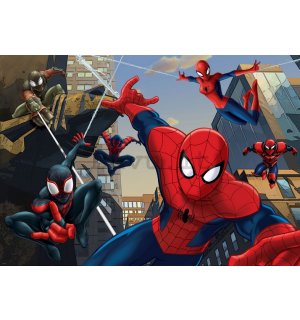 Fotomurale: Spiderman (2) - 254x184 cm