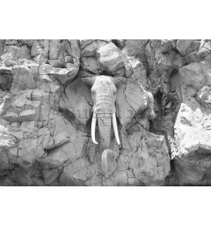 Fotomurale: Elefante d'argilla (bianco e nero) - 368x254cm