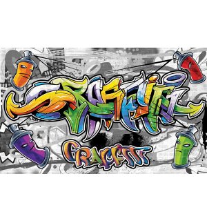 Fotomurale in TNT: Graffiti colorati - 208x146 cm