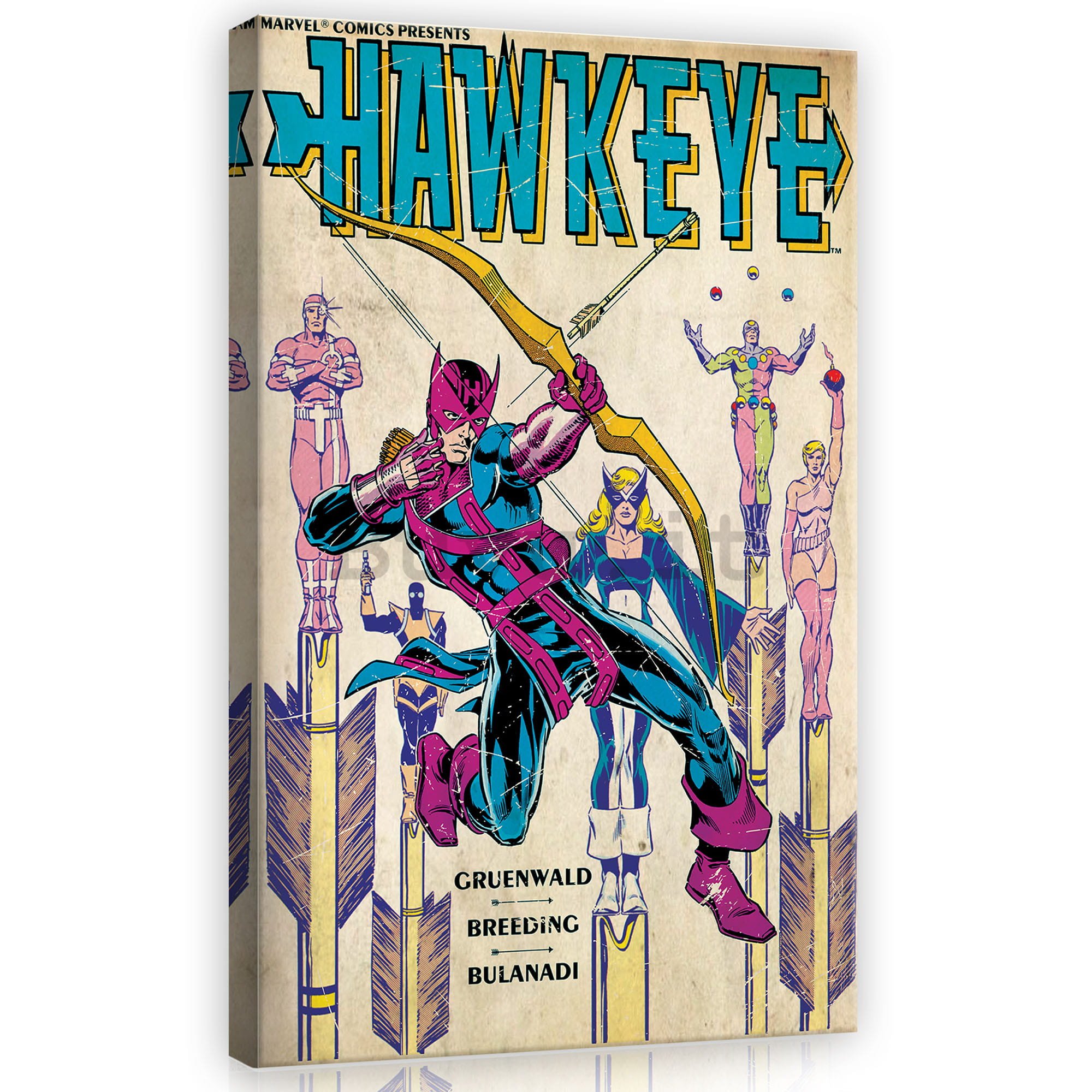 Quadro su tela: Hawkeye - 40x60 cm