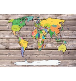 Fotomurale in TNT: Mappa del mondo a colori su legno - 368x280 cm