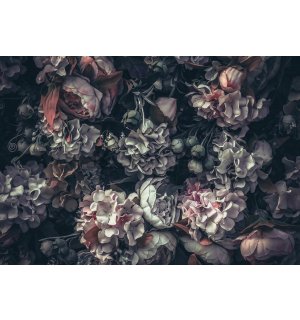 Fotomurale in TNT: Combinazione di fiori (2) - 460x300 cm