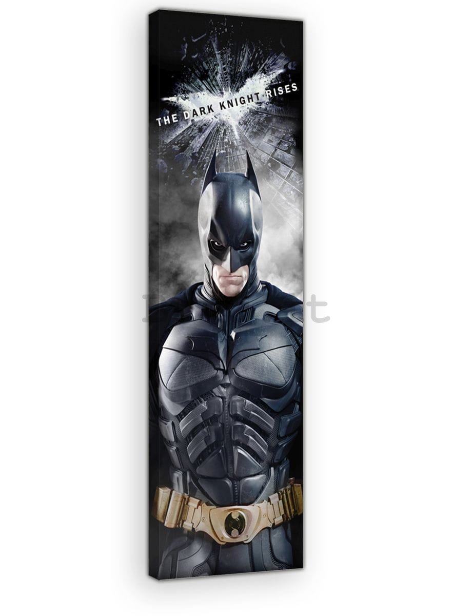 Quadro su tela: Dark Knight (5) - 45x145 cm