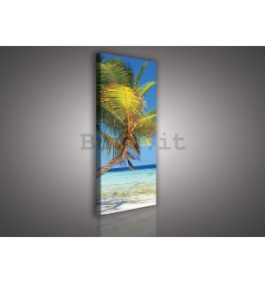 Quadro su tela: Spiaggia con palma - 45x145 cm