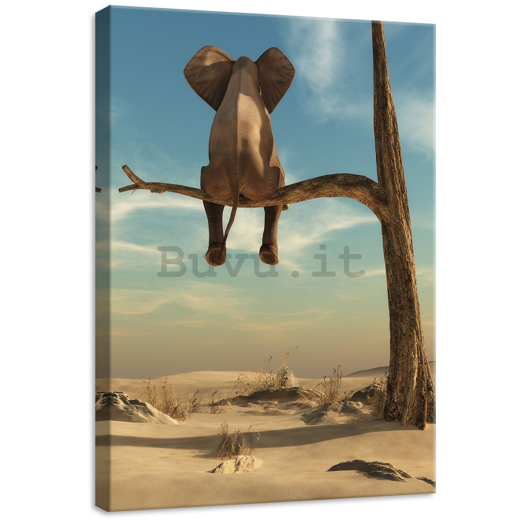 Quadro su tela: Elefante sull'albero - 50x70 cm