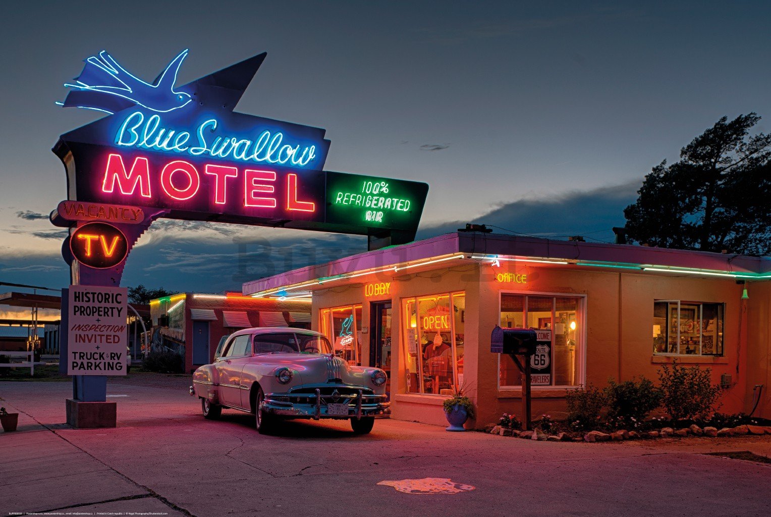 Poster: Motel Blue Swallow