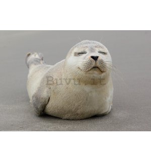 Poster: Cucciolo di foca grigia