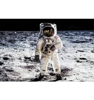 Poster: Sbarco sulla Luna (Cosmonauta)