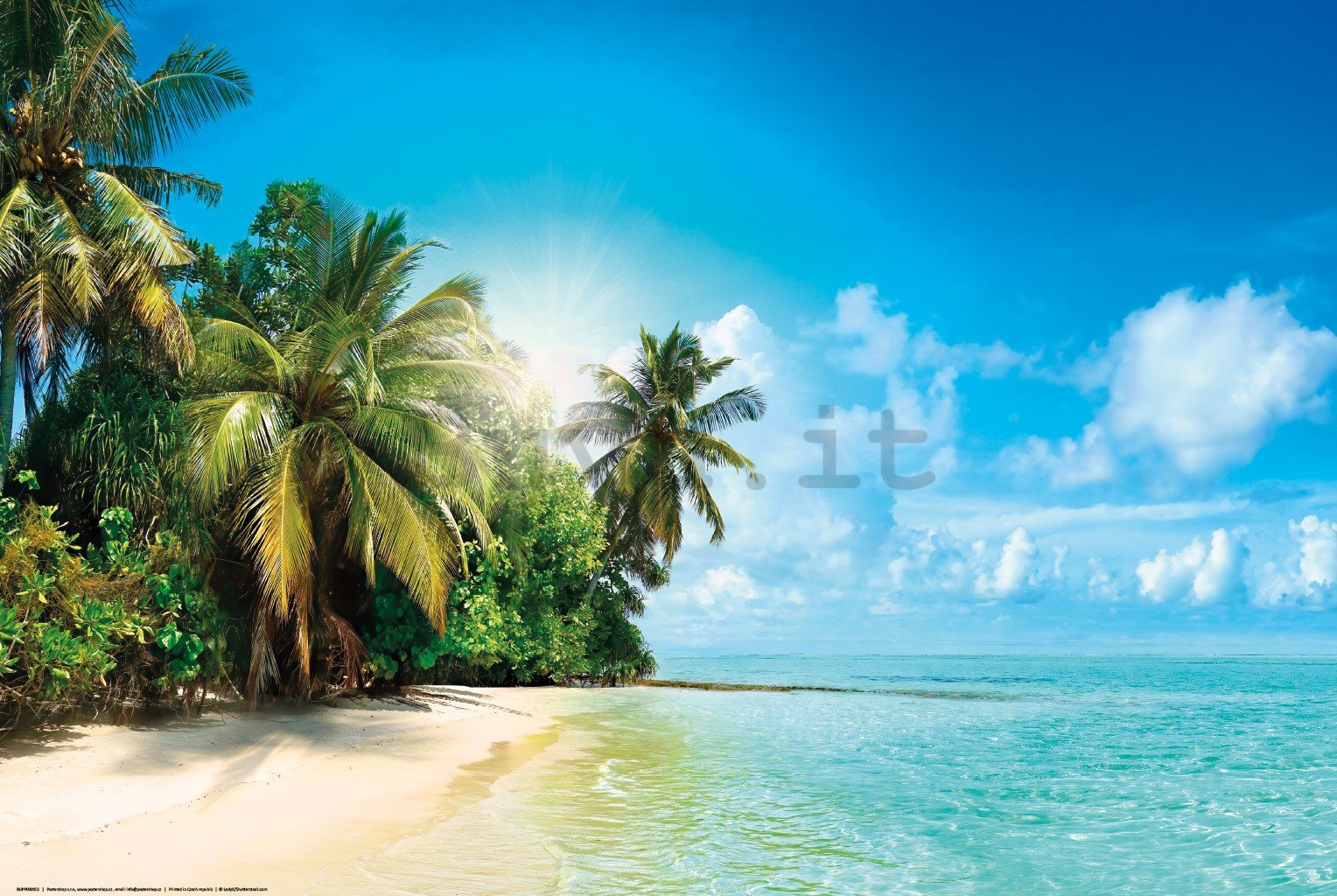 Poster: Soleggiata spiaggia tropicale
