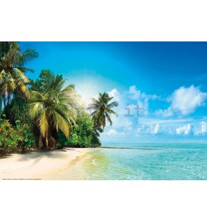 Poster: Soleggiata spiaggia tropicale