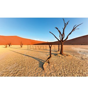 Poster: L'arido deserto del Namib