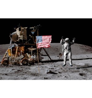 Poster: Sbarco sulla Luna (Bandiera)