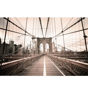 Poster: Un viaggio attraverso il ponte di Brooklyn