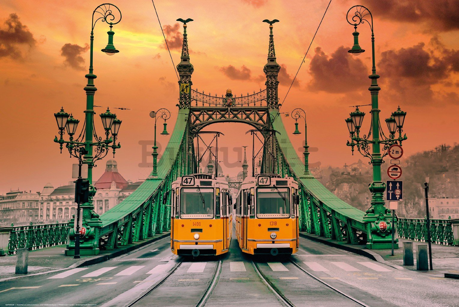 Poster: Tram sul Ponte della Liberta, Budapest