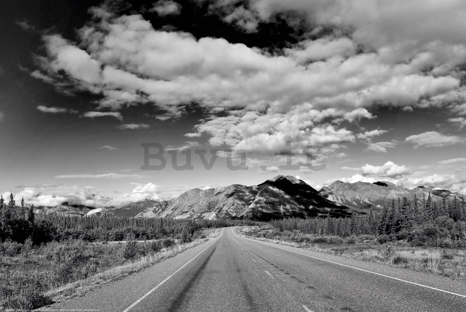 Poster: Autostrada dell'Alaska (bianco e nero)