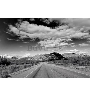 Poster: Autostrada dell'Alaska (bianco e nero)