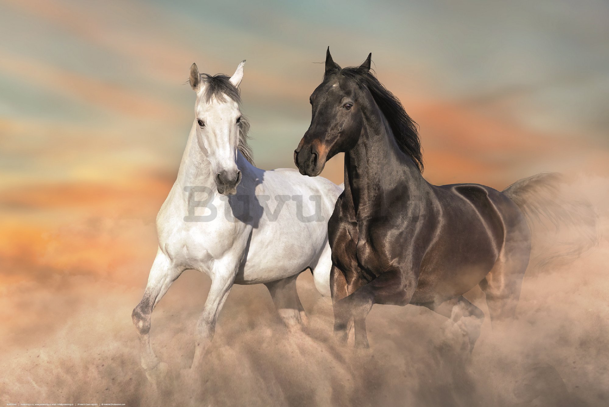 Poster: Cavalli al galoppo nella sabbia