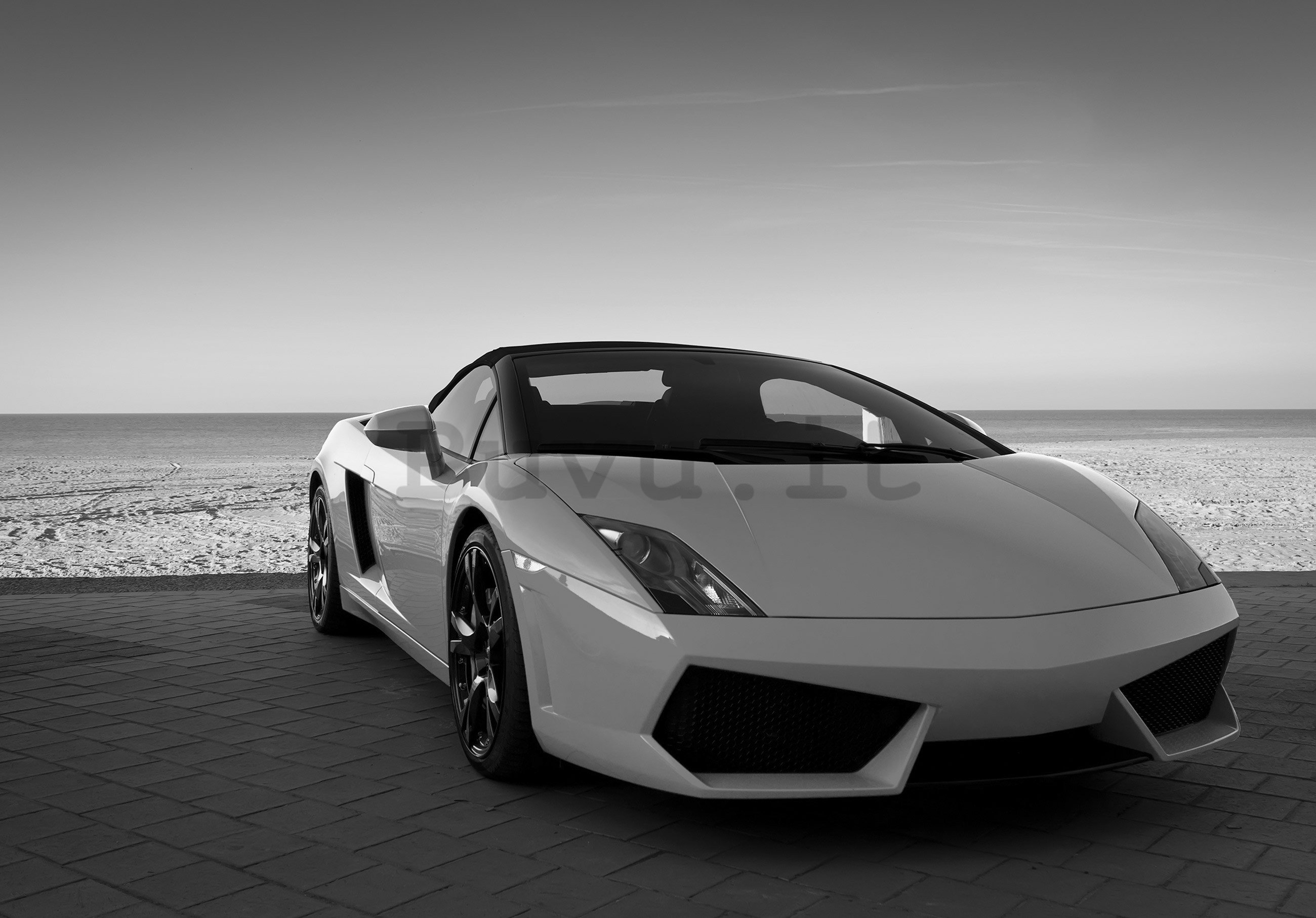 Fotomurale in TNT: Lamborghini in bianco e nero - 254x184 cm