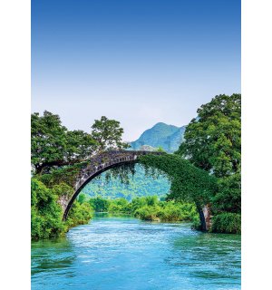 Fotomurale: Ponte e fiume - 184x254 cm
