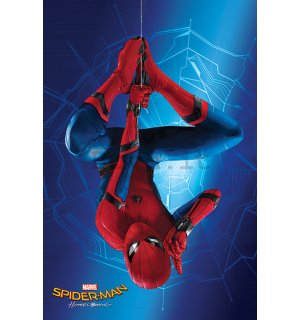 Poster - Spiderman Homecoming (2)