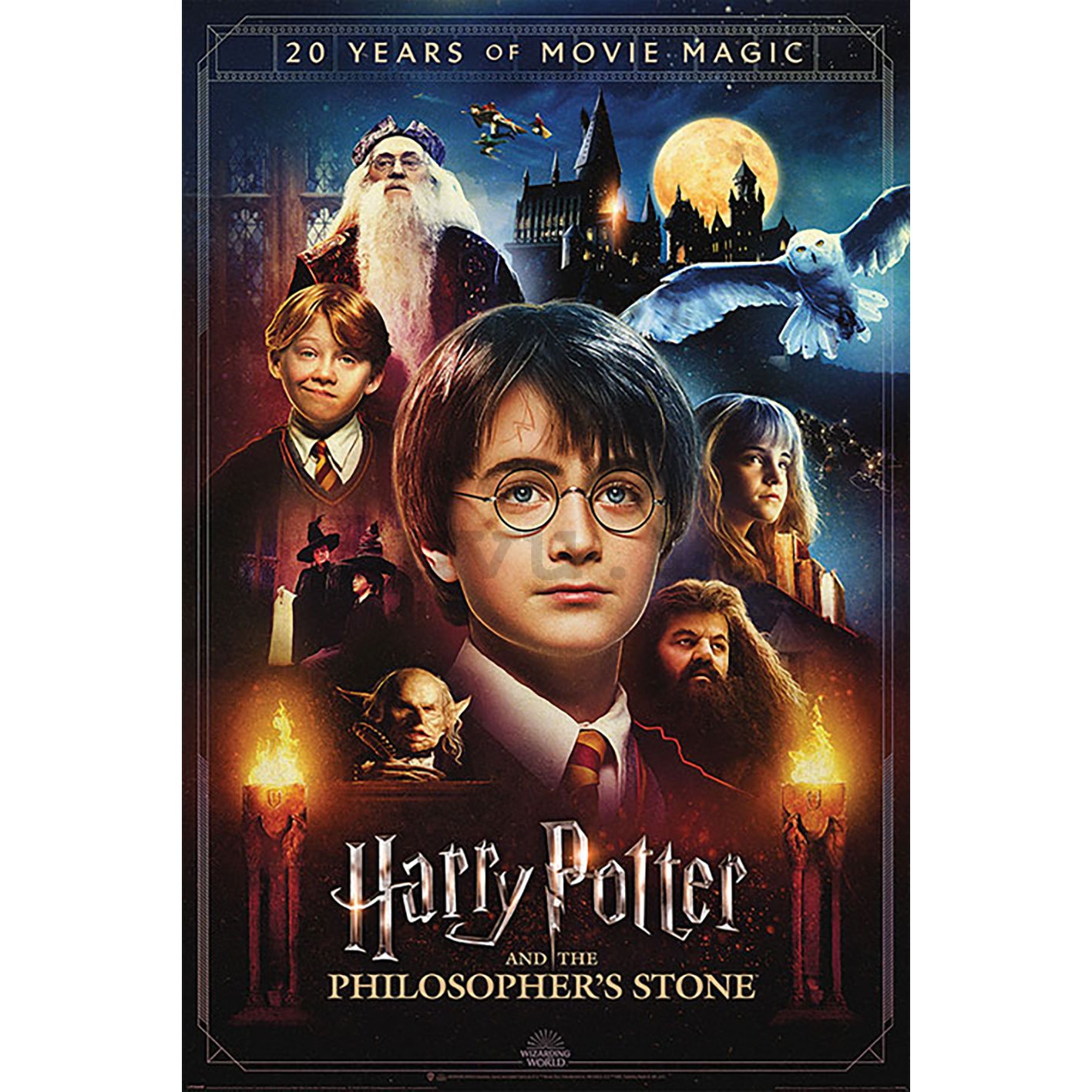 Poster - Harry Potter (20 Years of Movie Magic)