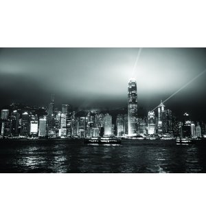 Fotomurale in TNT: Hong Kong (bianco e nero) - 312x219cm