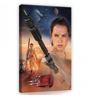 Quadro su tela: Star Wars, Rey - 40x60 cm