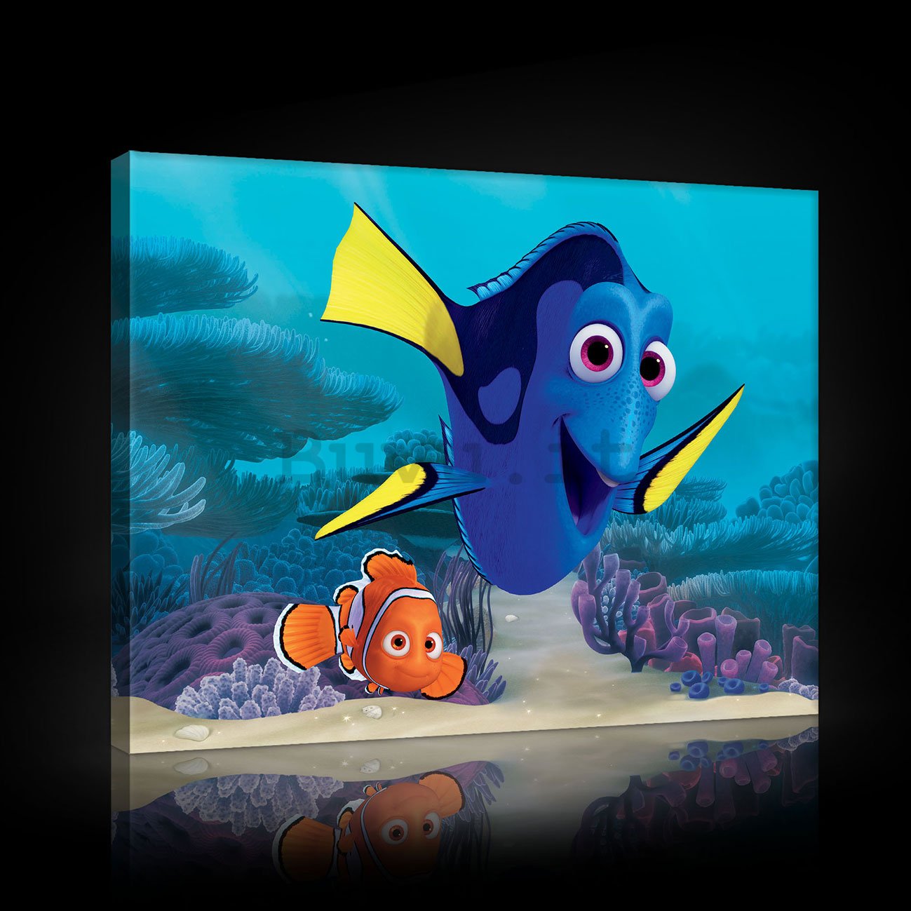 Quadro su tela: Alla ricerca di Nemo - 60x40 cm