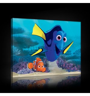 Quadro su tela: Alla ricerca di Nemo - 60x40 cm