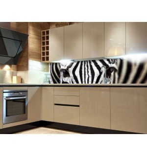 Fotomurale lavabile autoadesiva per cucina - Zebra, 180x60 cm