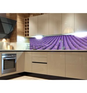 Fotomurale lavabile autoadesiva per cucina - Campo di lavanda, 180x60 cm