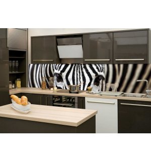 Fotomurale lavabile autoadesiva per cucina - Zebra, 260x60 cm