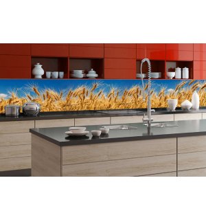 Fotomurale lavabile autoadesiva per cucina - Campo di grano, 350x60 cm
