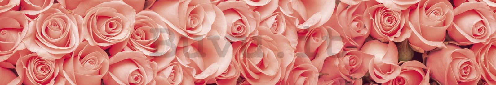 Carta da parati lavabile autoadesiva per cucina - Rose rosa, 350x60 cm