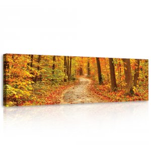 Quadro su tela: I colori dell'autunno (foresta) - 145x45 cm