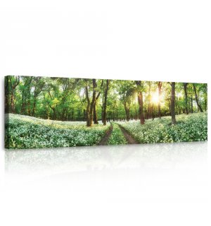 Quadro su tela: Sentiero forestale in fiore - 145x45 cm