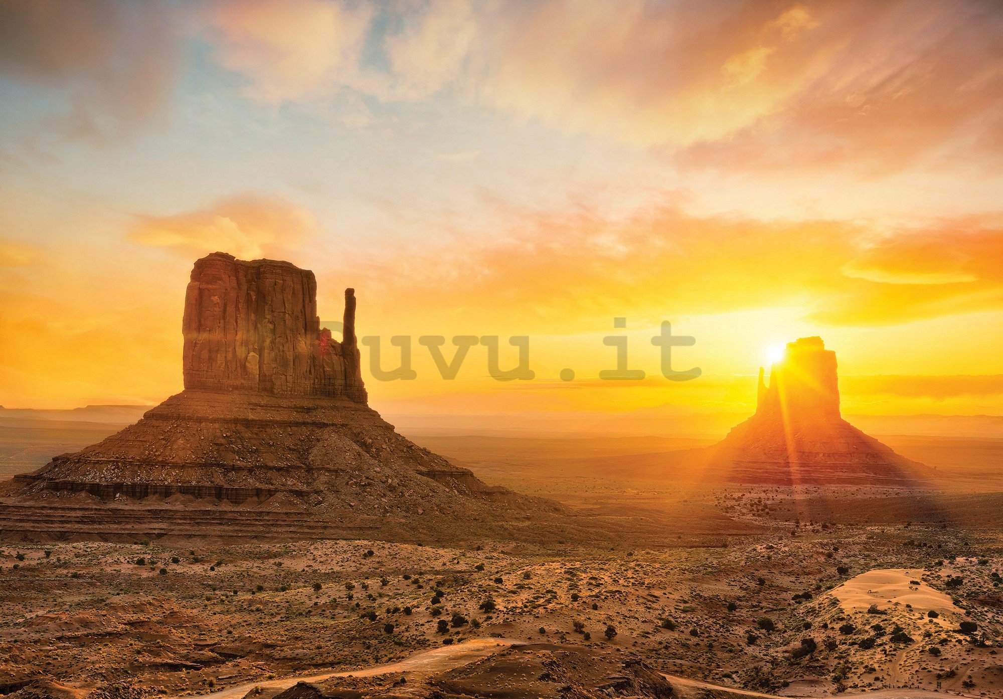 Fotomurale in TNT: Deserto dell'Arizona - 254x184 cm