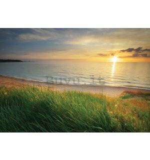 Fotomurale in TNT: Spiaggia al tramonto - 254x184 cm